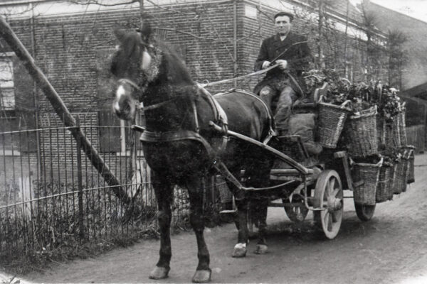 Hoveniers van Oost